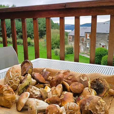Du Gua Des Brasses Au Bord Du De La Raviège * La Salvetat-sur-Agout
